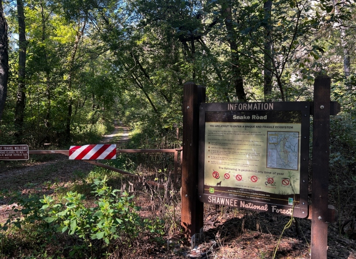 Snake Road